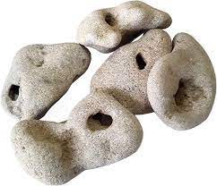 Five small bone-colored hagstones, which are stones with naturally-occurring holes in them. Each stone has one or two holes. 